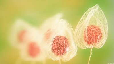 2022年碳排放管理员知识普及：交易管理暂行条例