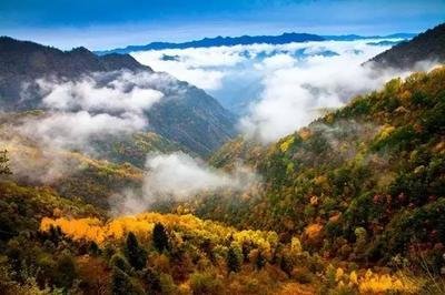 工信部将推动重点领域节能提效相关标准修订 推进工业用能低碳化