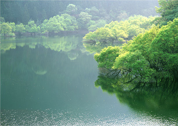 在能源电力行业，唯有全面融入能源革命与数字革命融合并进的发展大潮