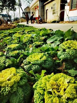 四川碳排放管理员：考试科目及各科分数线划分