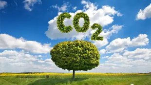 三部门发文力争2025年重点行业二氧化碳排放强度明显下降