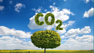 碳定价：控排的有效政策工具