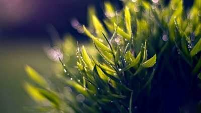2022年碳排放管理员：基本条件