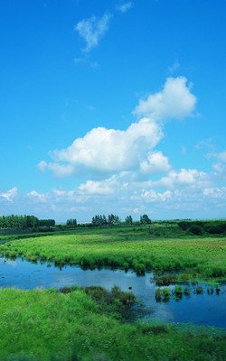 助力“双碳”目标实现 “碳排放管理员”将发挥积极作用