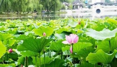 2022年银川市碳排放管理员考试时间及成绩查询