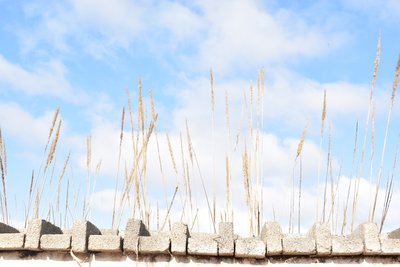 零排放！沈阳航空航天大学研制的四座氢燃料内燃机飞机验证机成功首飞