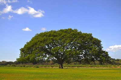 2022年碳排放管理员知识普及：减少碳排放有什么用